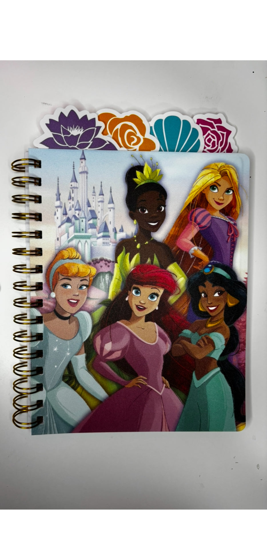 Princess Journal